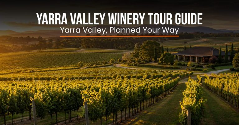 Yarra Valley Winery Tours Without a Designated Driver